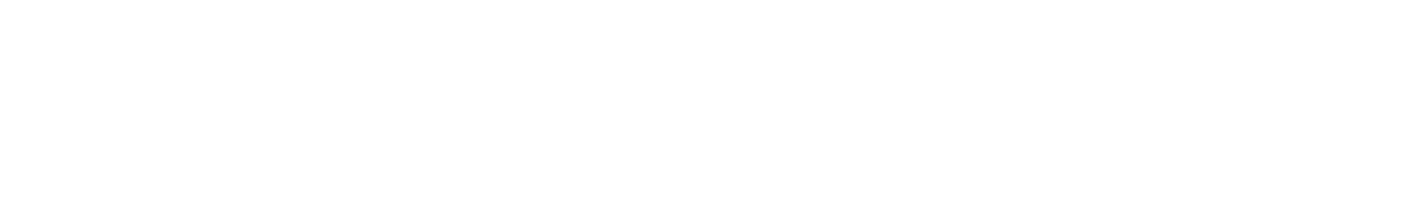 ANESIS MOBILITY